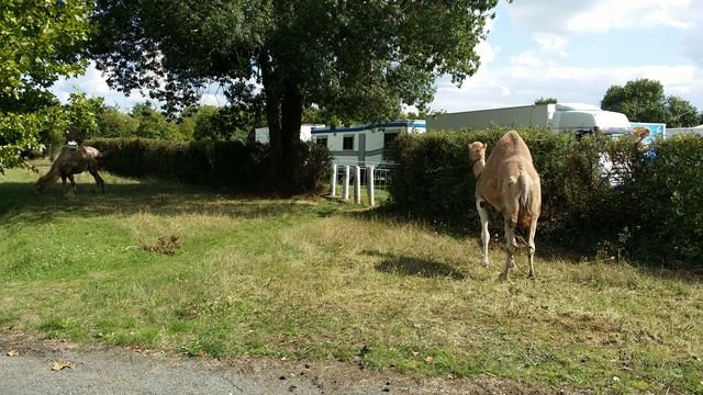 20150901_154436 [640x480].jpg
